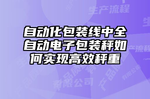 自動化包裝線中全自動電子包裝秤如何實現(xiàn)高效秤重