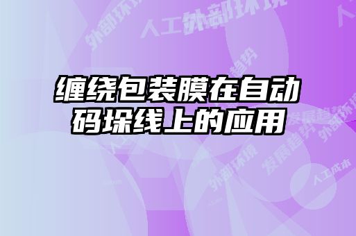 纏繞包裝膜在自動碼垛線上的應(yīng)用